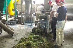 皇竹草烘干机价格,设备原理是什么？