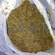 2021年适合投资酒糟烘干机吗？